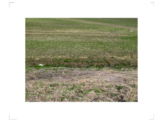 Bielau_051