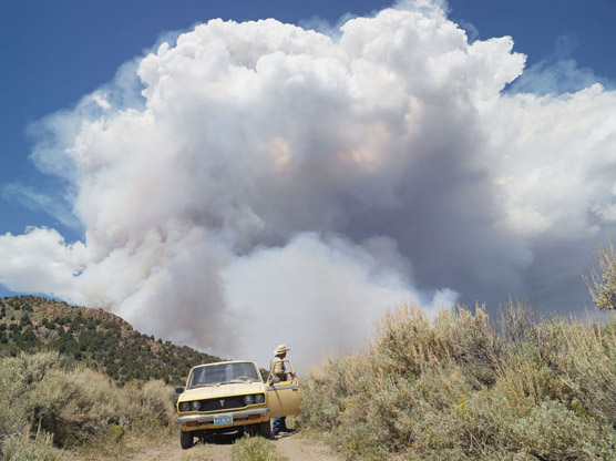 Foglia_Nevada