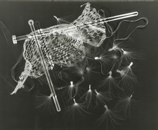 Krueger_HSC5374
