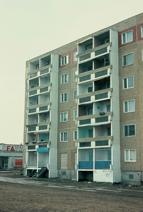 zielony56